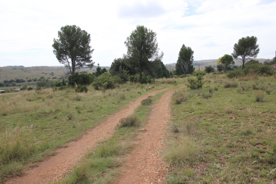 3 Bedroom Property for Sale in Lake Deneysville Free State
